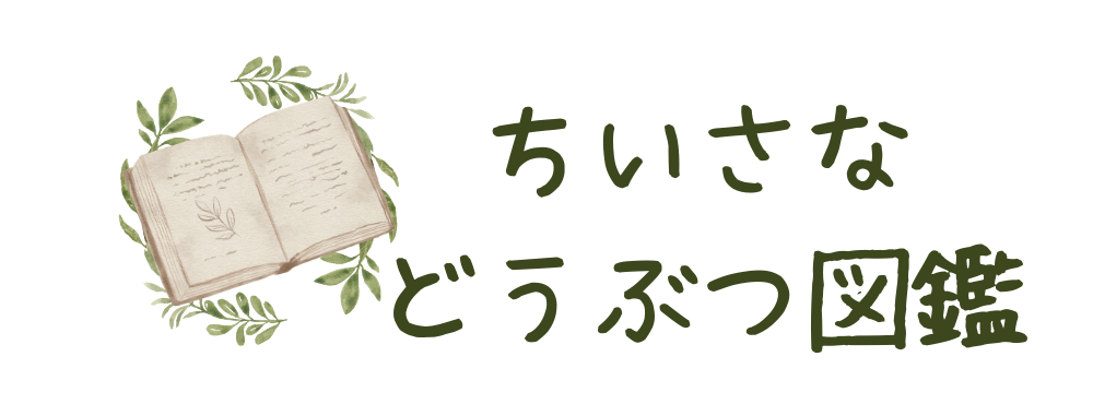 ちいさな どうぶつ図鑑