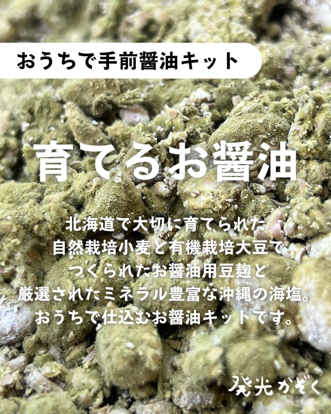 【2026年度】おうちで手前醤油キット