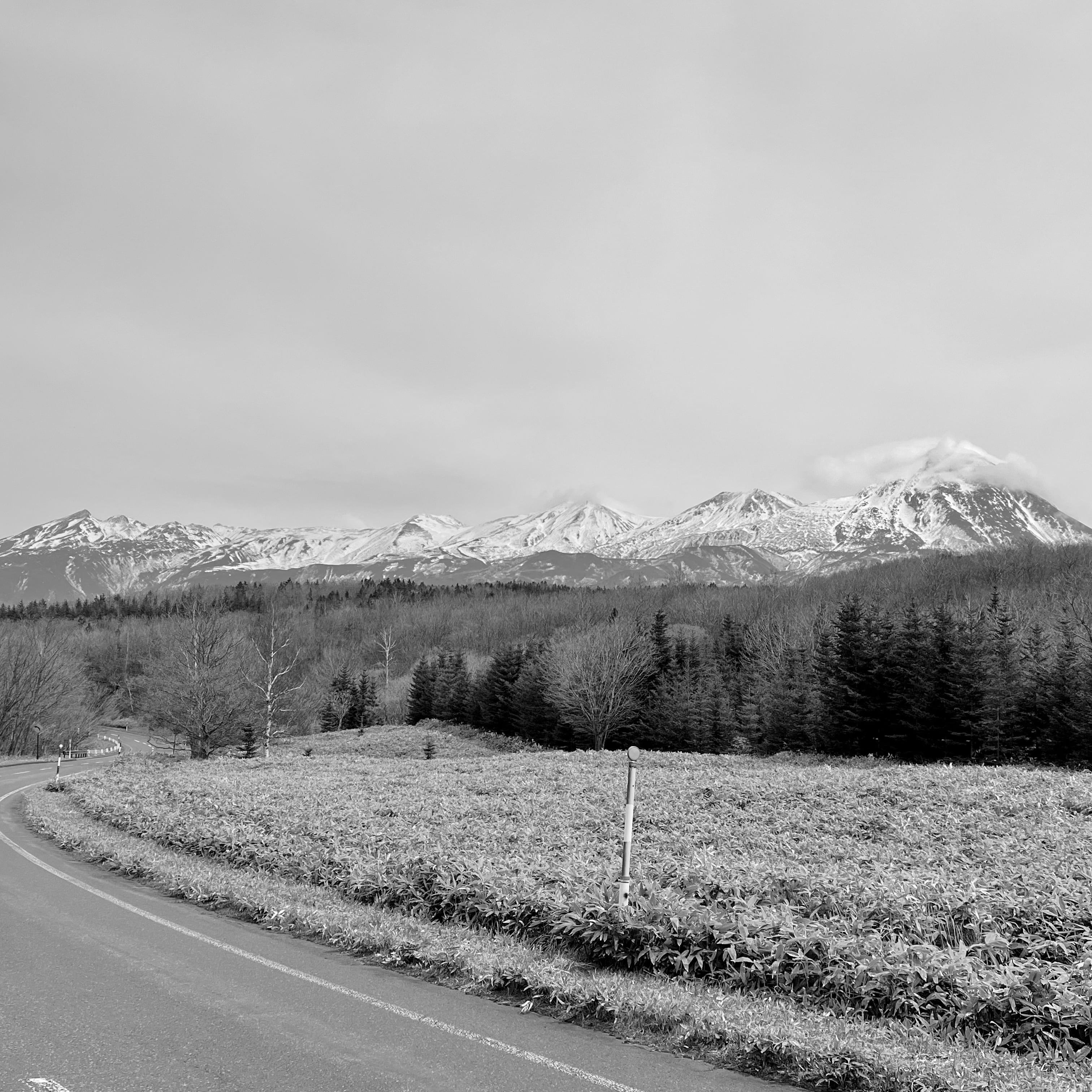 i am mountain代表の生まれ故郷である北海道。