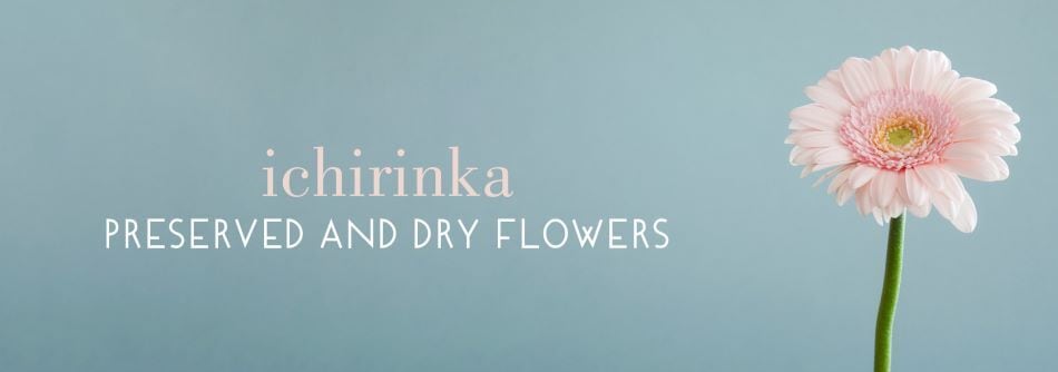 一輪華　枯れないお花の贈り物