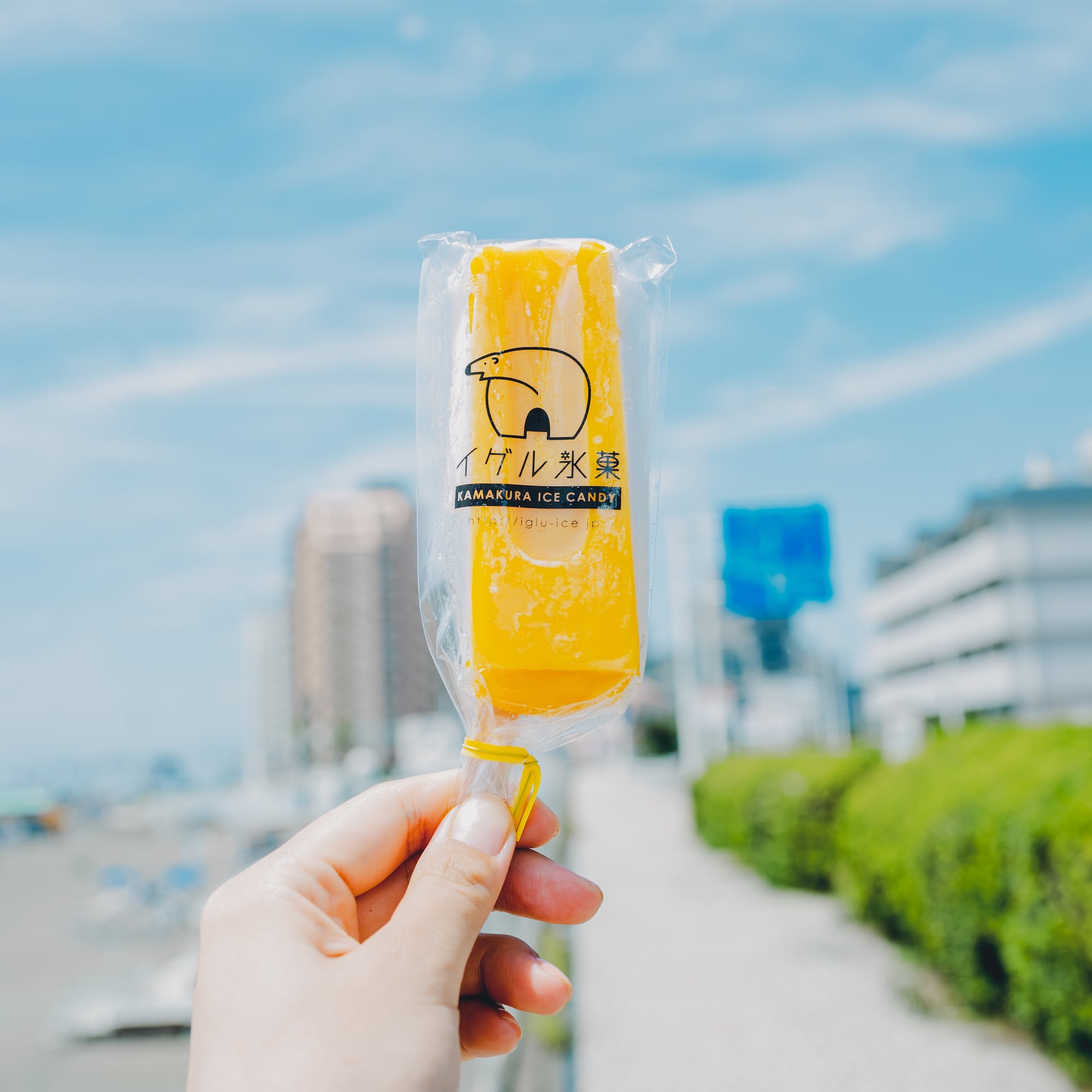 <strong>アイスキャンディーのこと </strong>