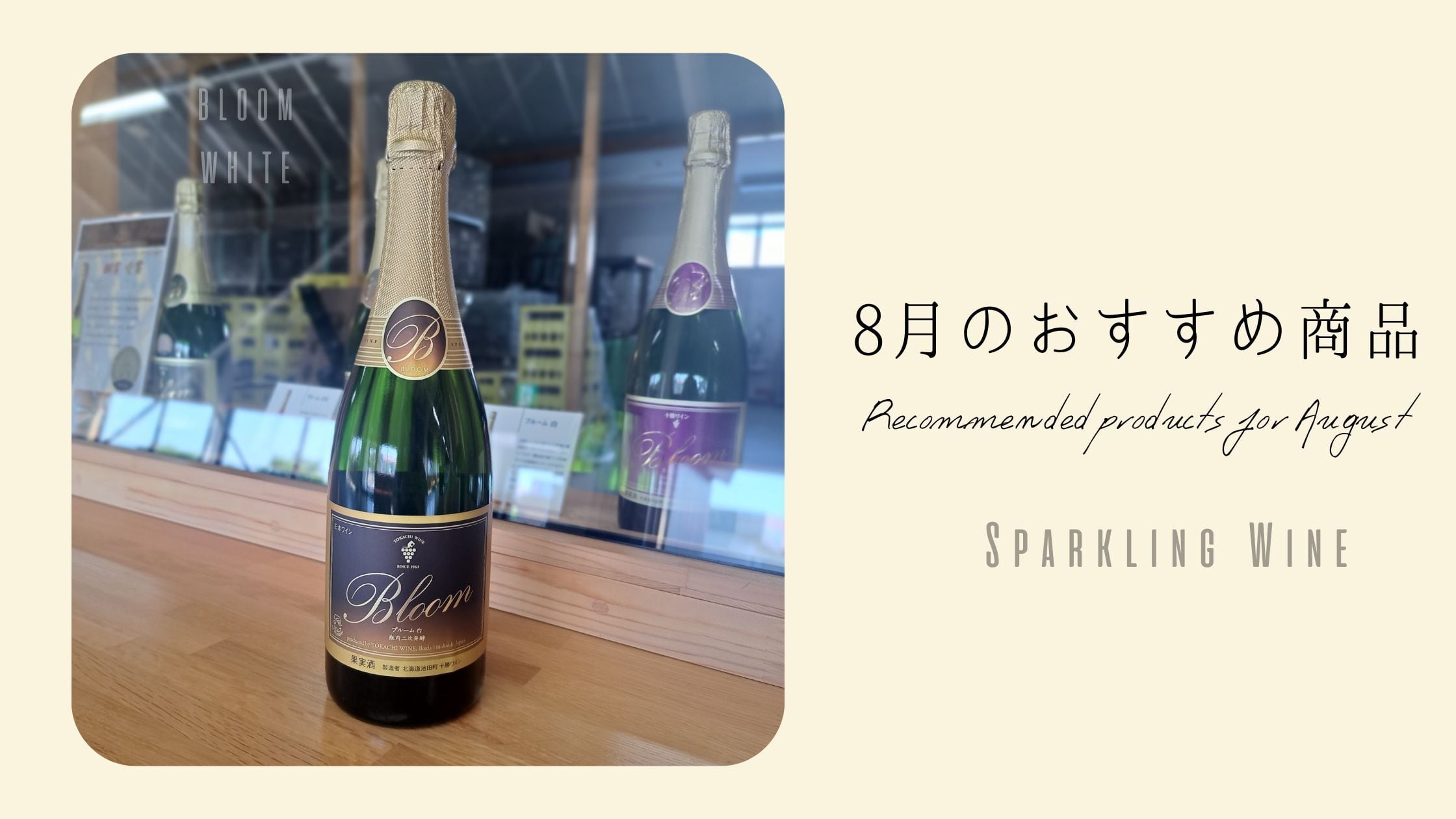【Check】8月のおすすめ商品🎆