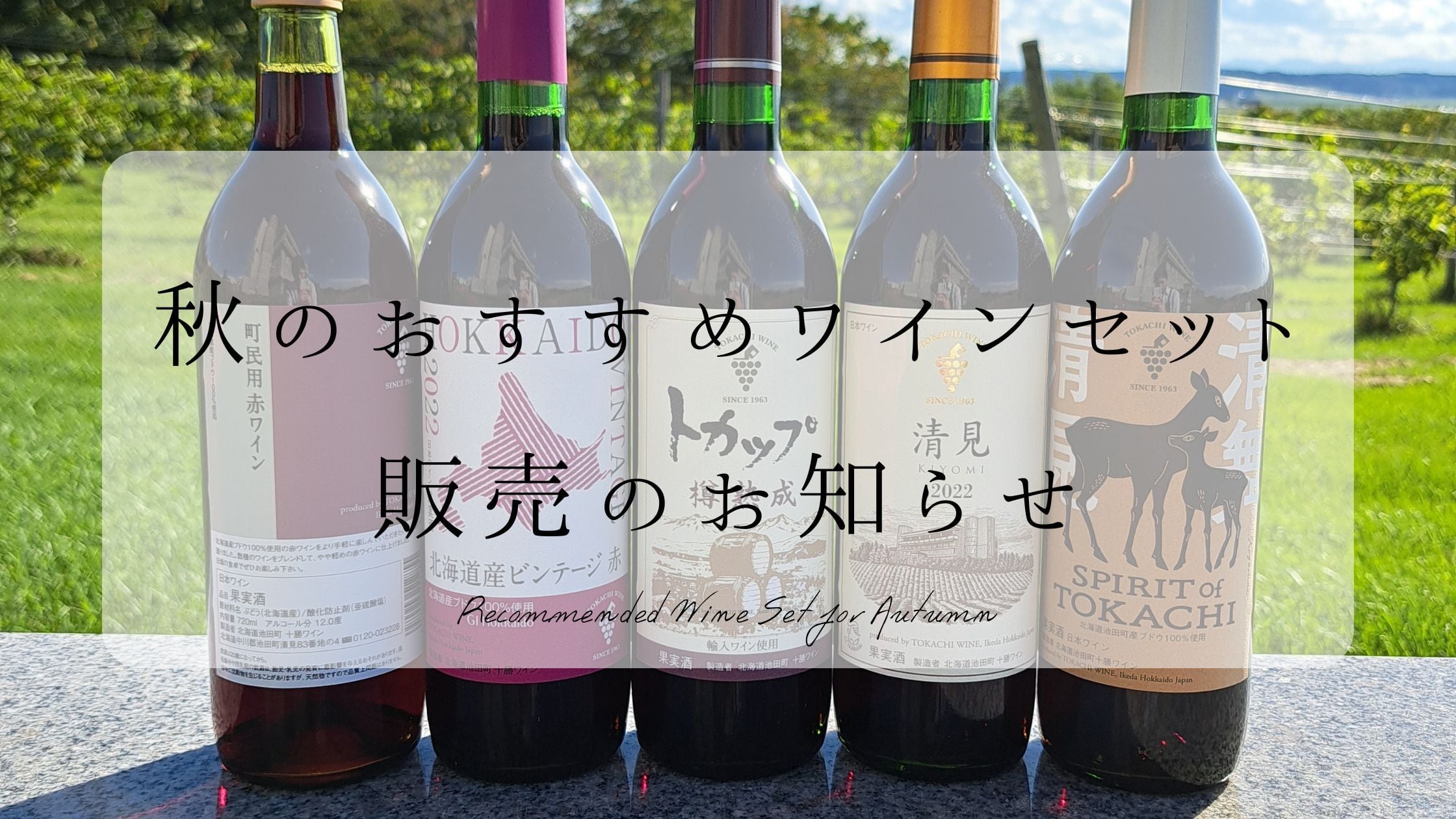 【Check】秋のおすすめワインセット販売のお知らせ🍂