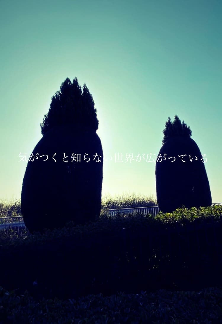 気がつくと知らない世界が広がっている