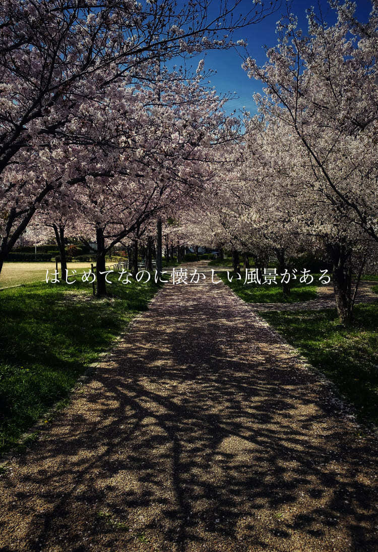 はじめてなのに懐かしい風景がある