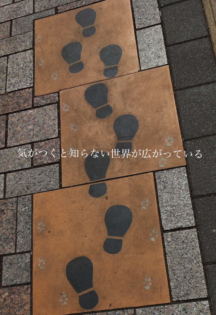 気がつくと知らない世界が広がっている