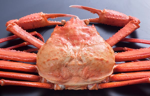 【2位】香住ガニ 大