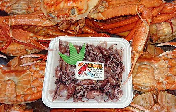 【1位】カニホタル