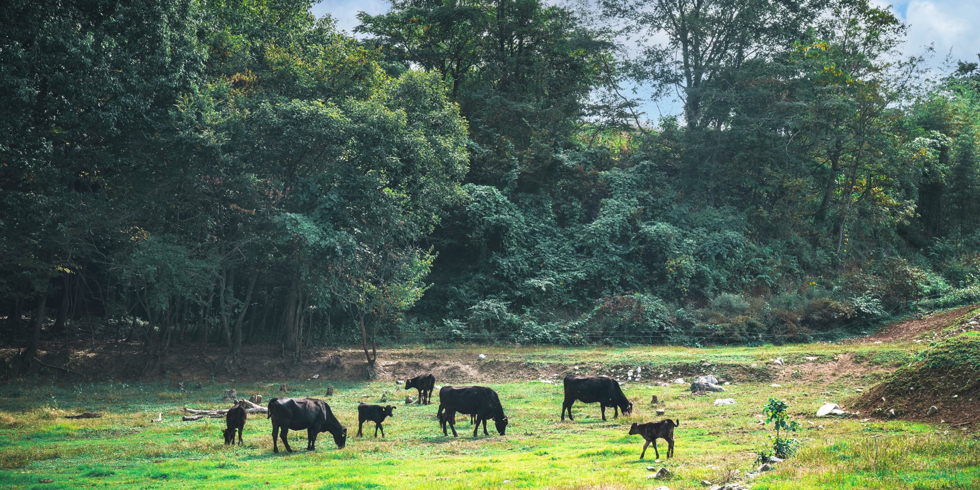 私たちについて