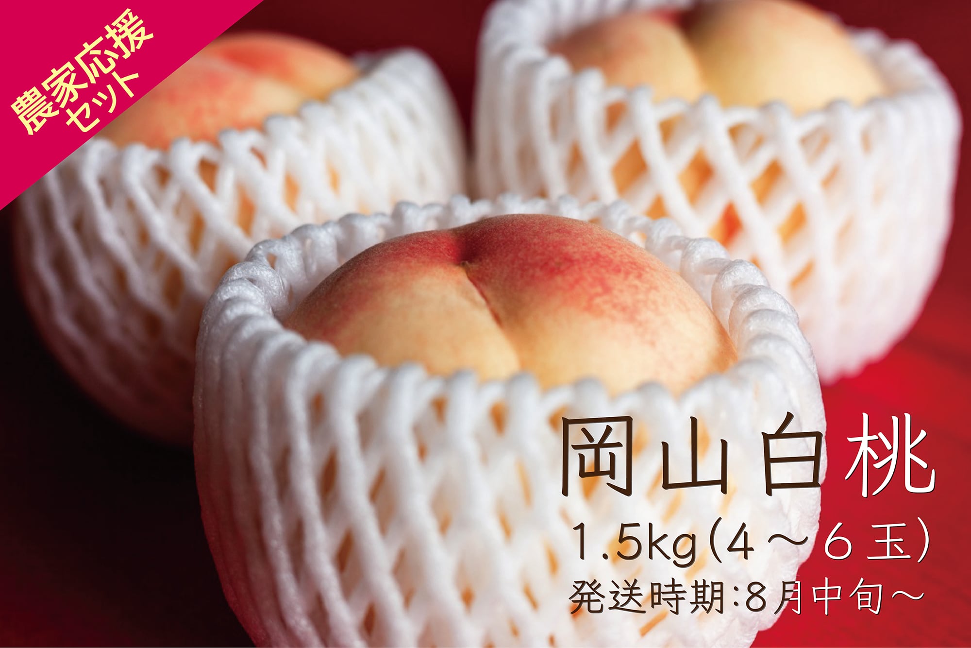 <strong>【岡山白桃】品種おまかせ 第3弾</strong><br />¥4,500（税込）<br />8月中旬〜8月下旬発送