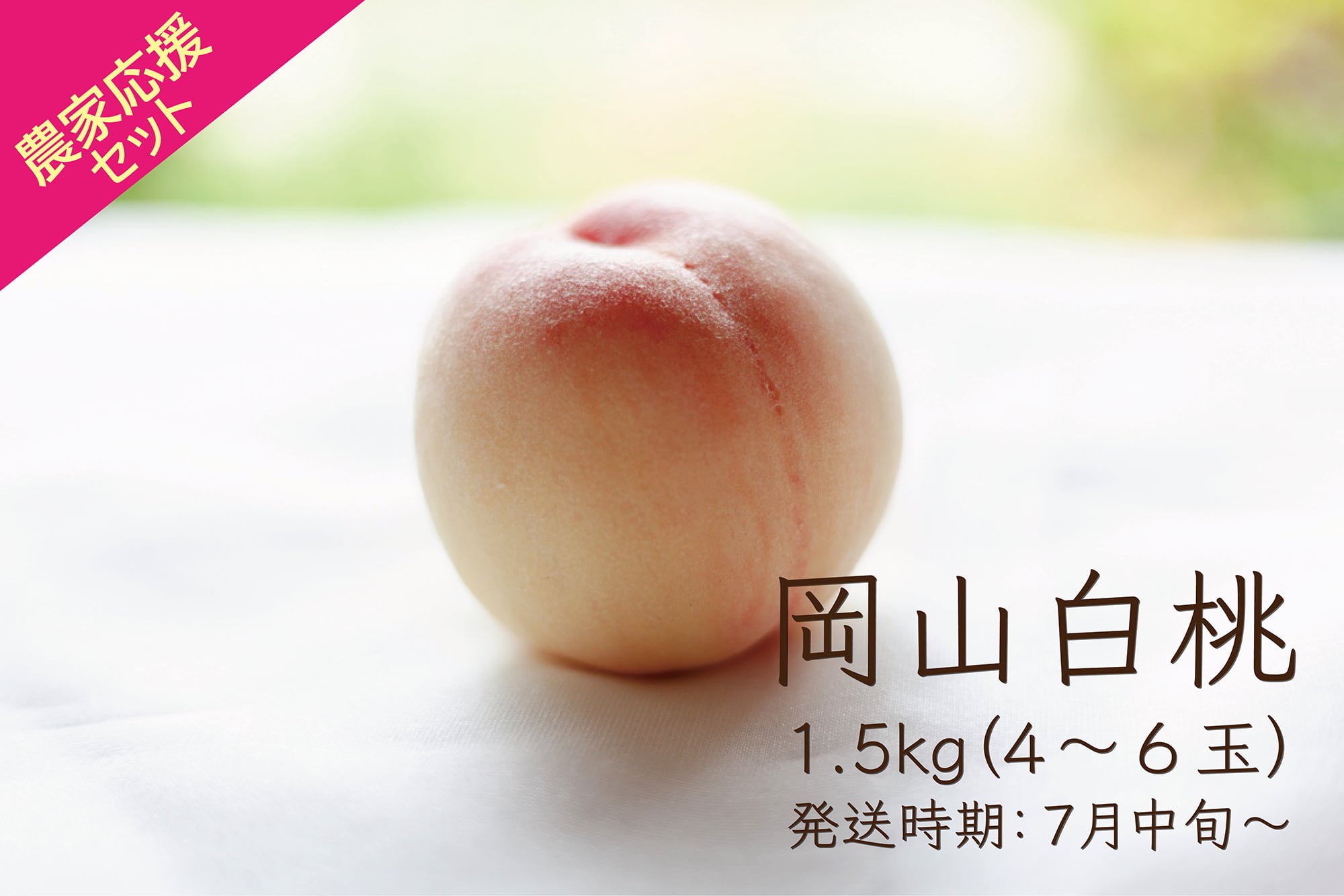<br />予定数量に達したため終了させていただきました
<br />有難うございました<br /><strong>【岡山白桃】品種おまかせ 第2弾</strong><br />¥4,500（税込）<br />7月中旬〜8月中旬発送