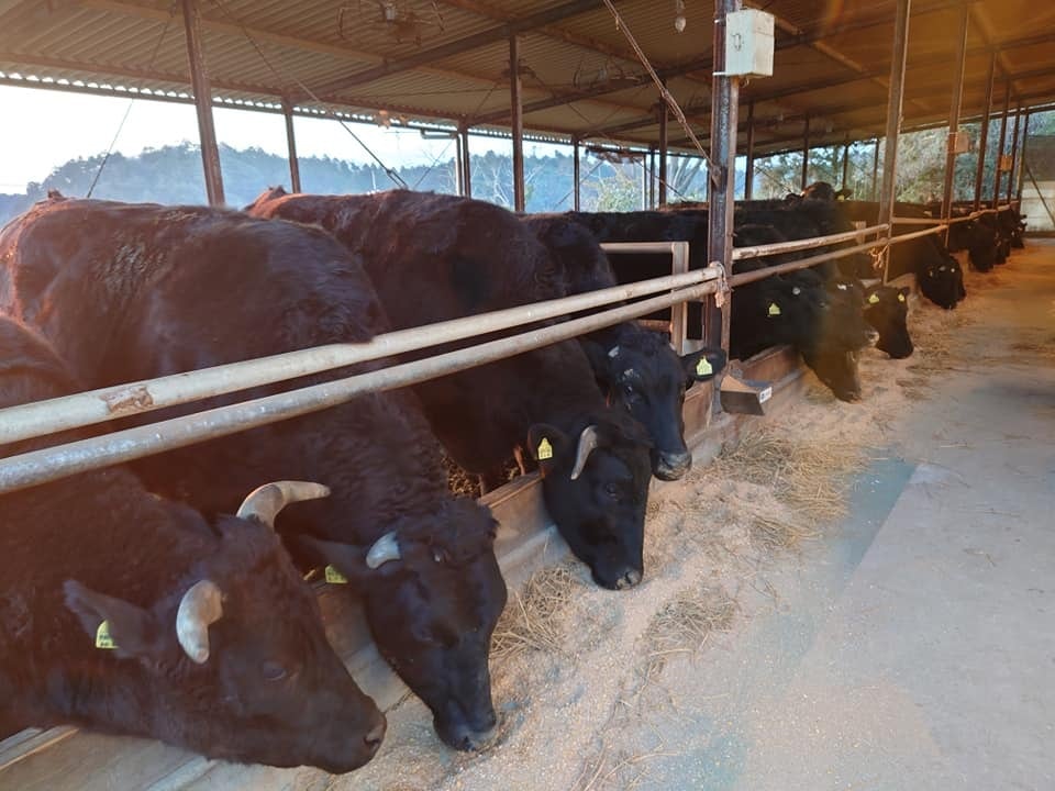 飼料「しあわせのふりかけ」