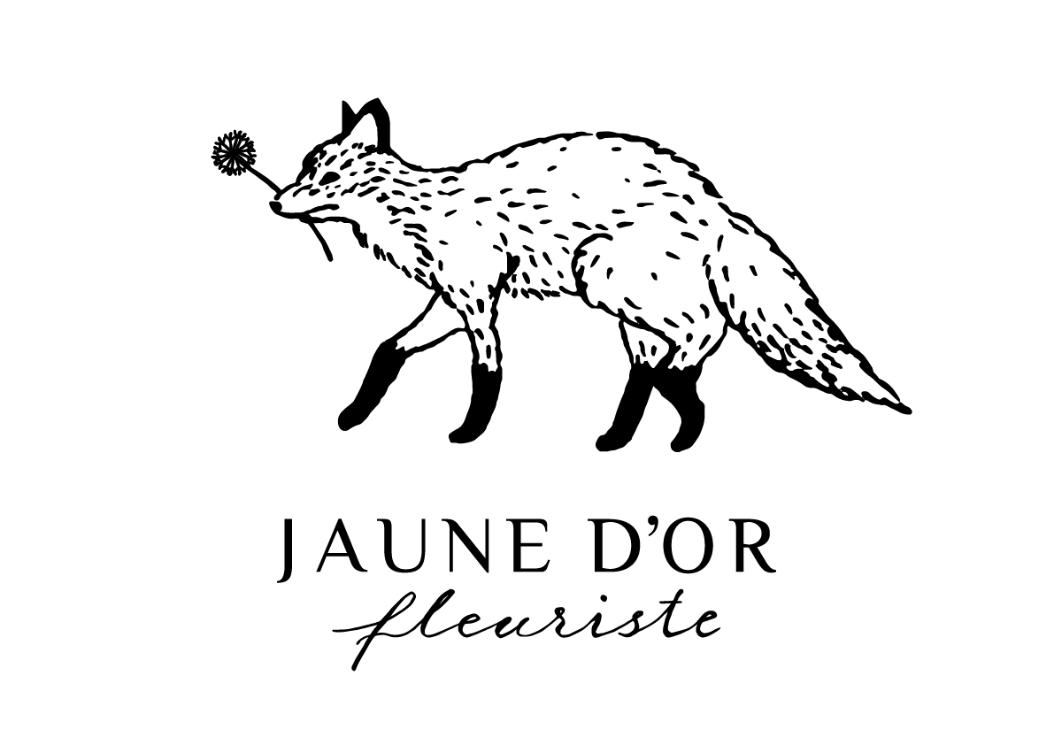 JAUNE D'OR fleurist