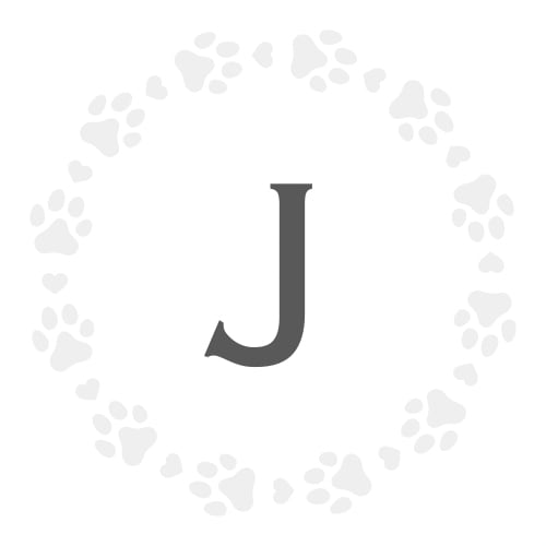 jazmin
