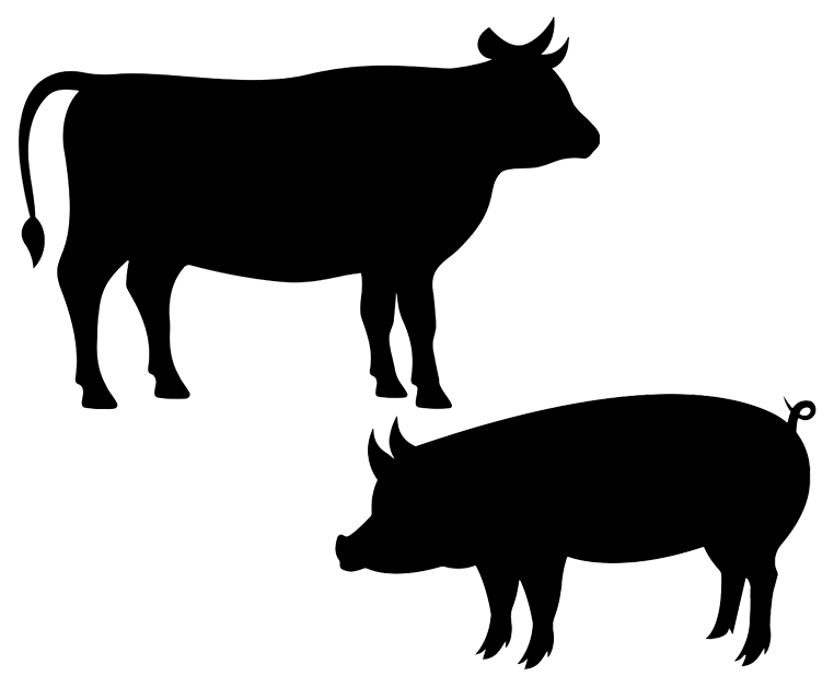 MIYAMOTO畜産