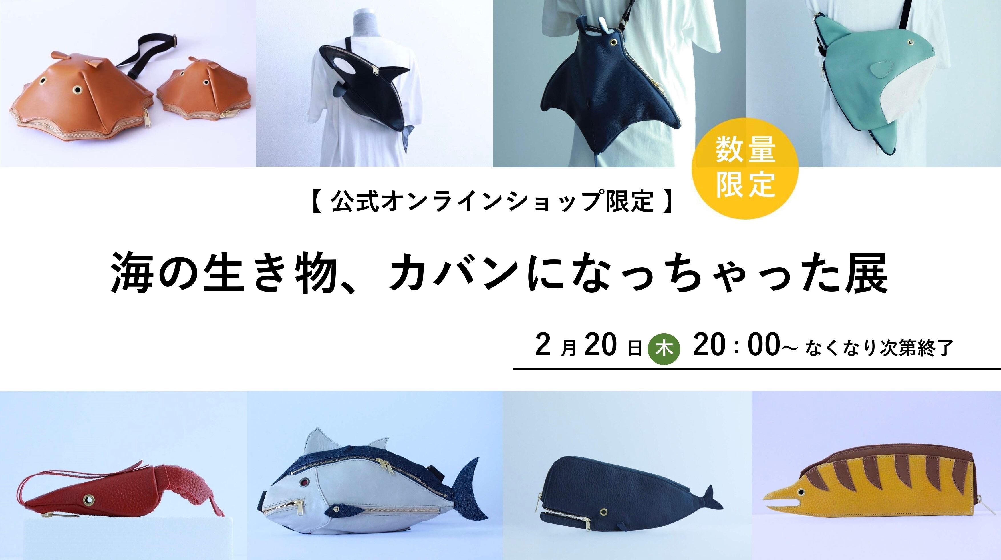 レックン様 専用 レックン様 専用 レッスンバッグ 上履き入れ