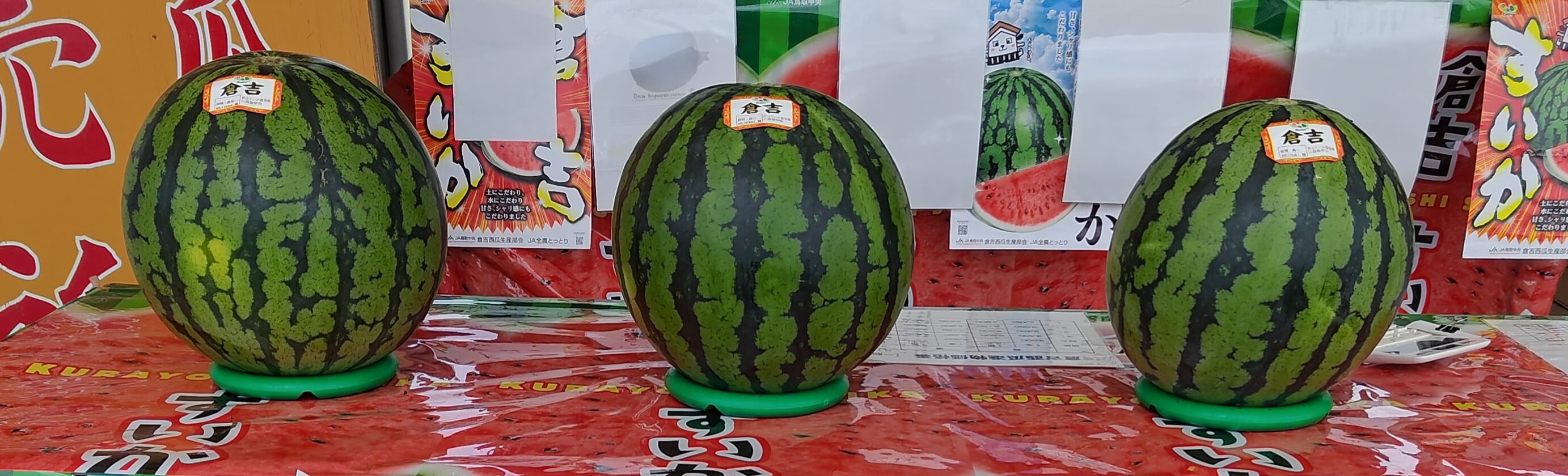 【極実すいか】