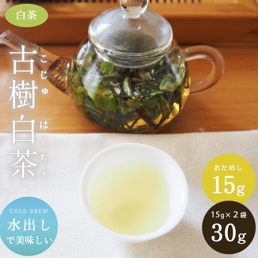 古樹白茶