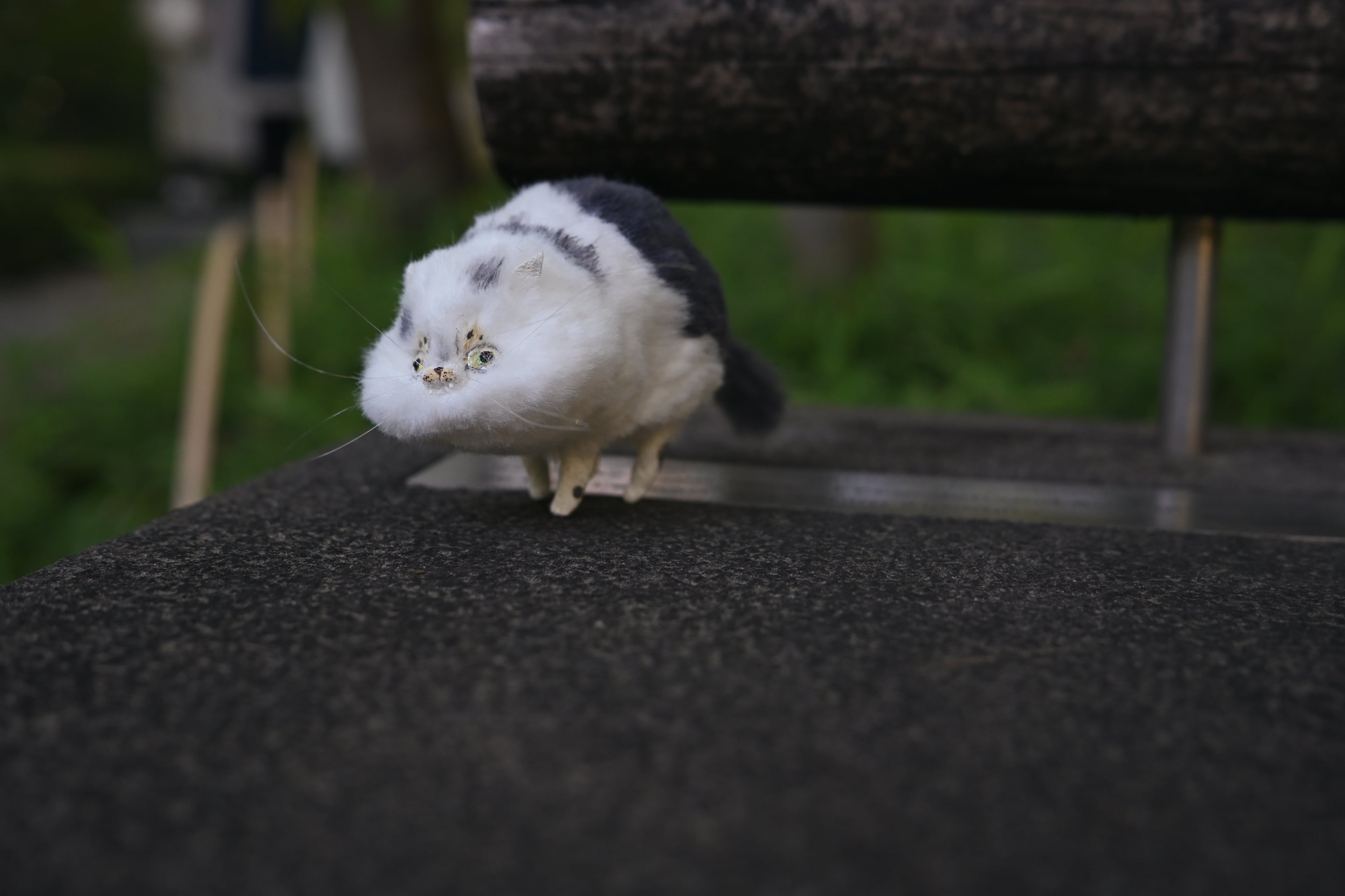 イメージ画像