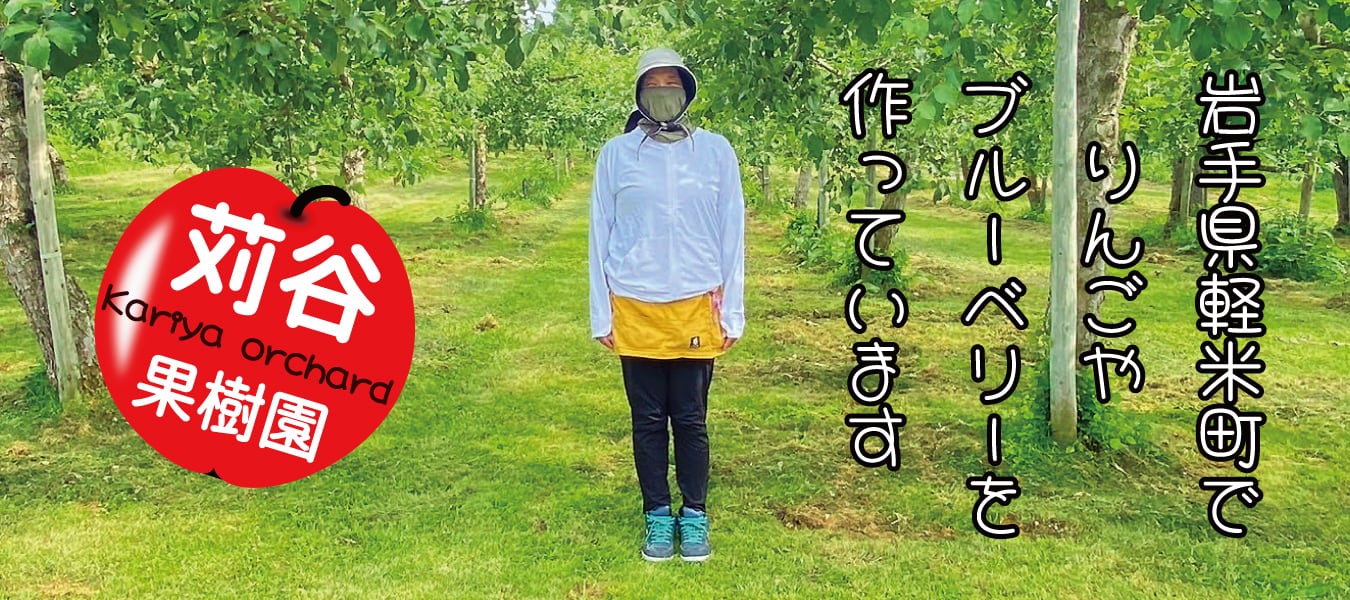 スライド1