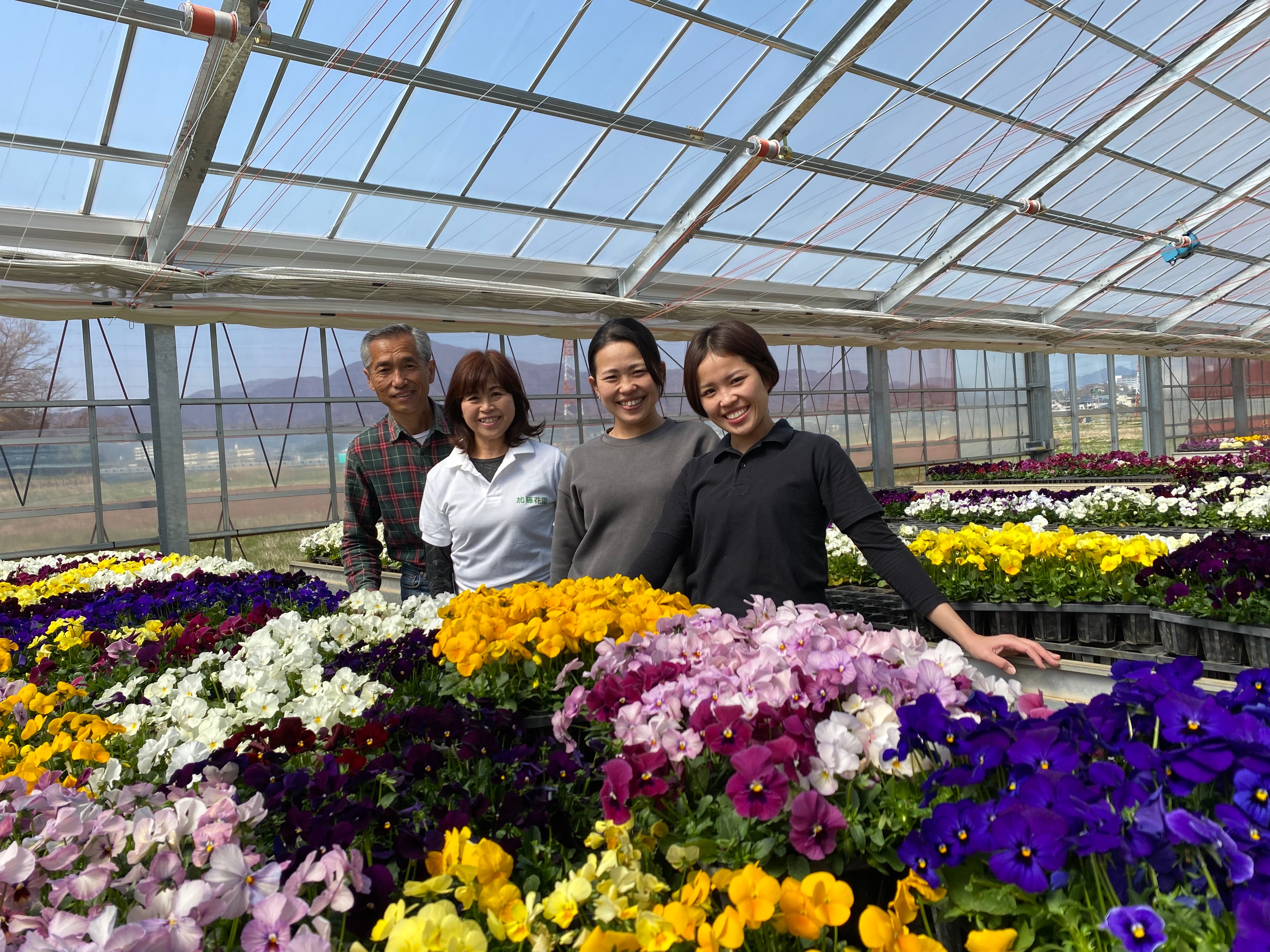 加藤花園