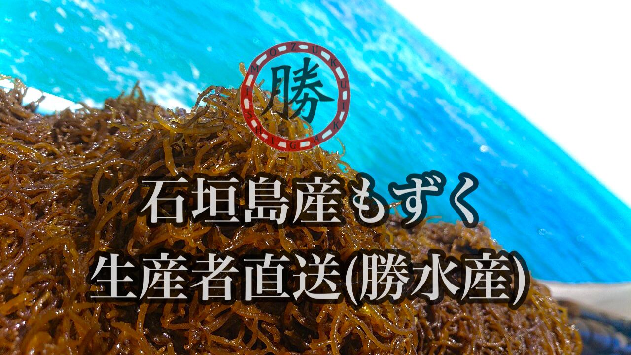 勝水産 海雲（石垣島産もずく販売店）