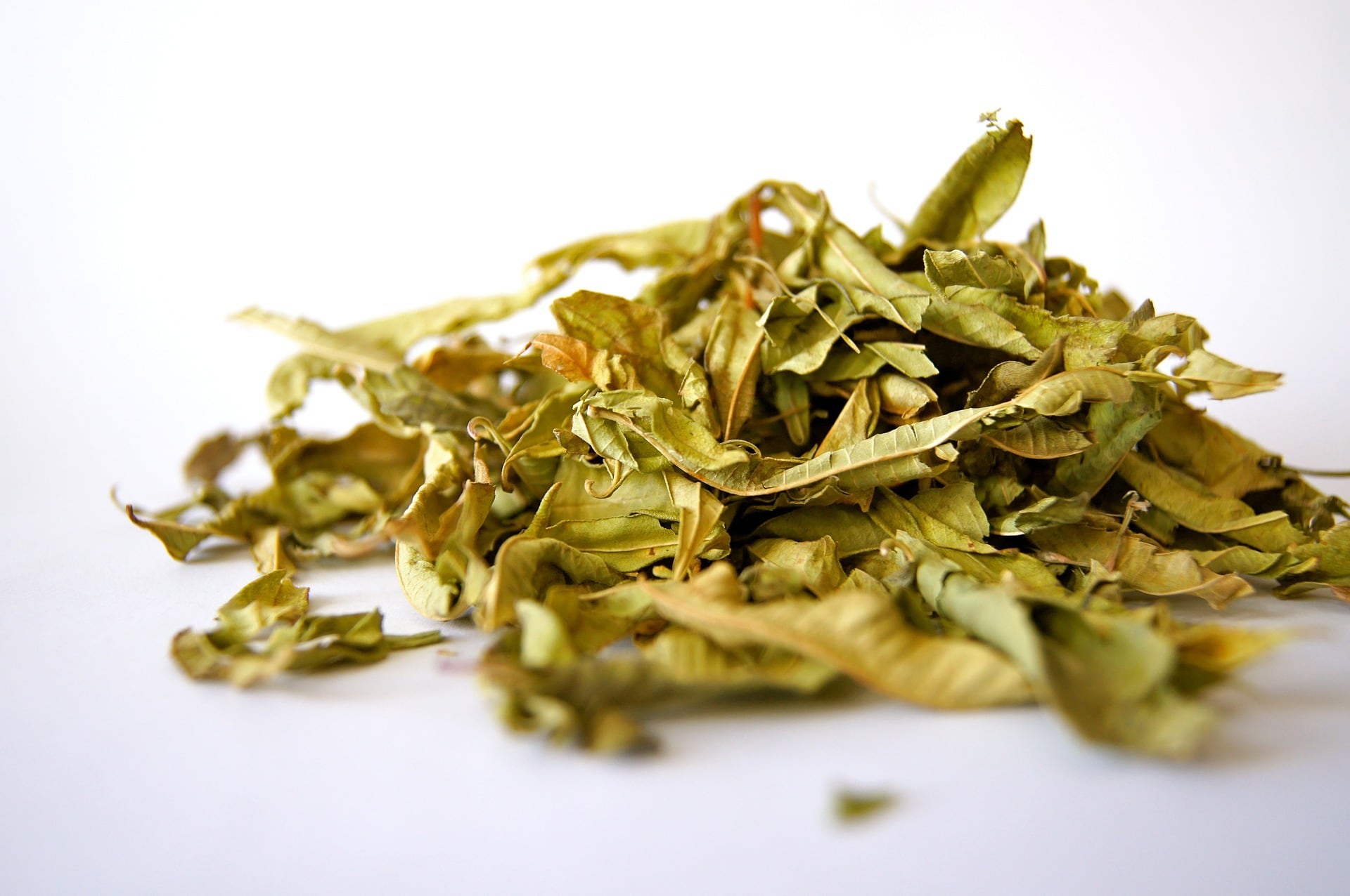 巡水茶