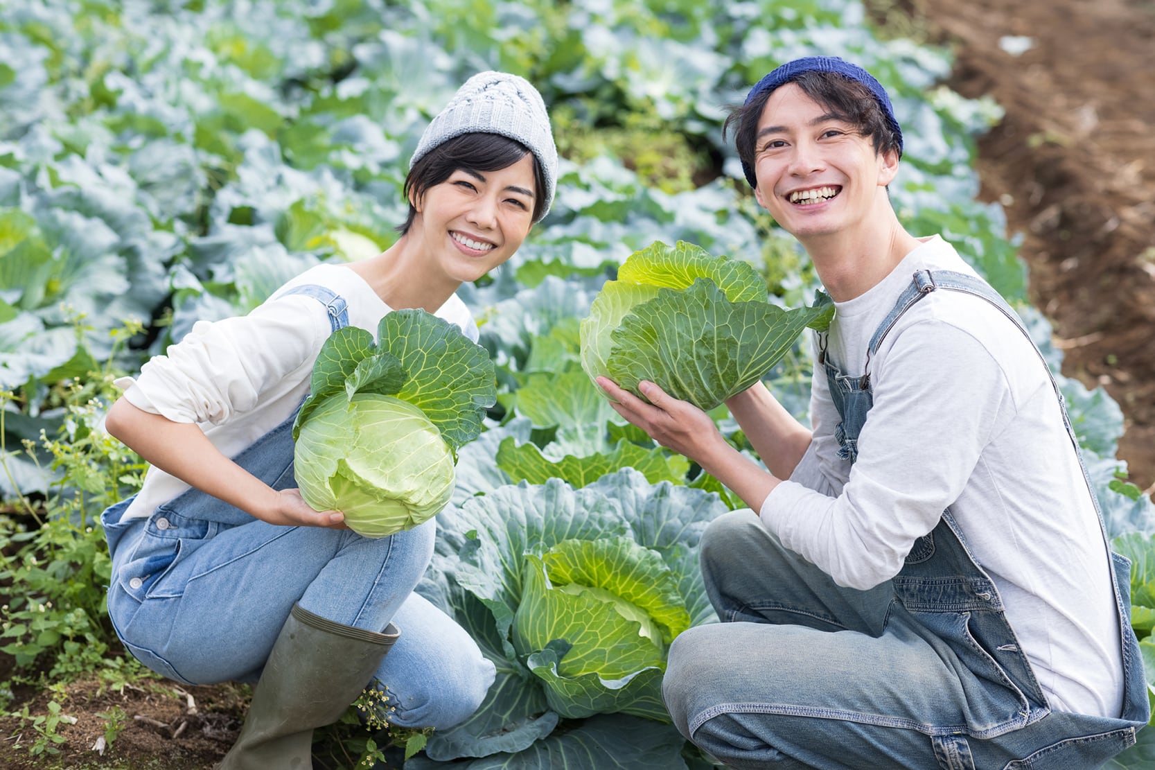 全国の生産者や市場から仕入れた「新鮮な青果」を、みなさまへお届けします。