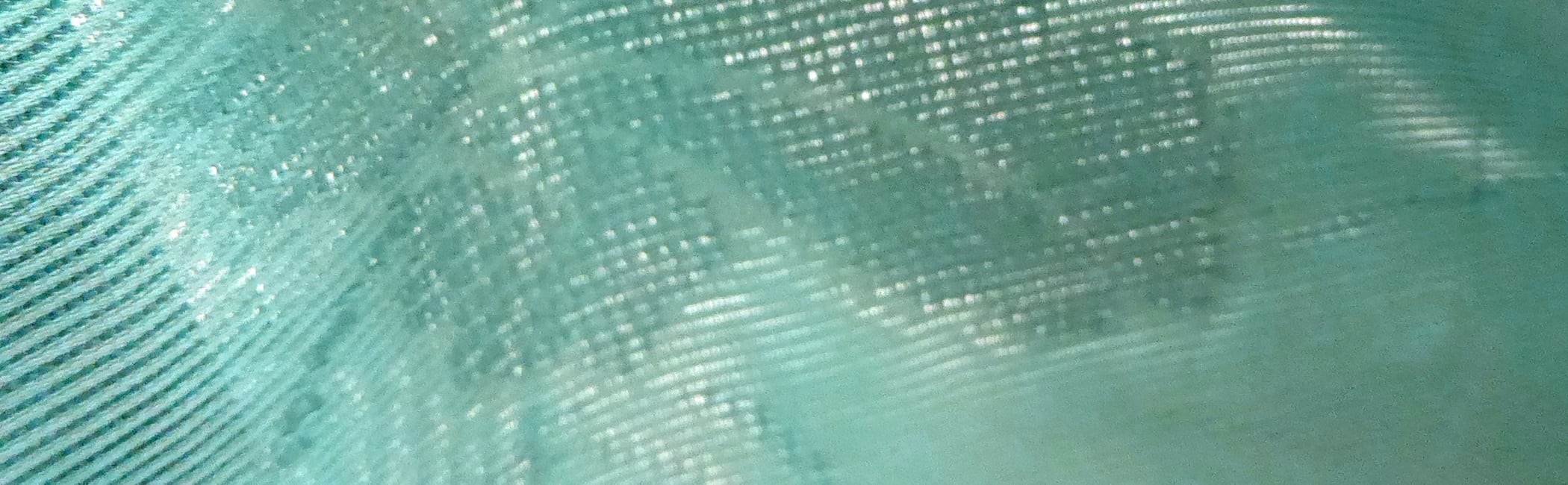 きじばとや