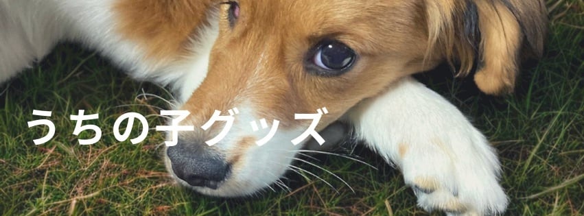 うちの子オリジナルグッズ