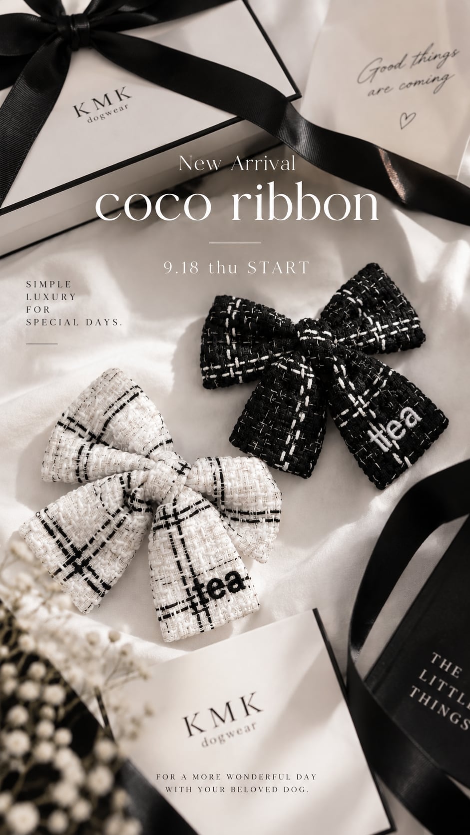 coco ribbon