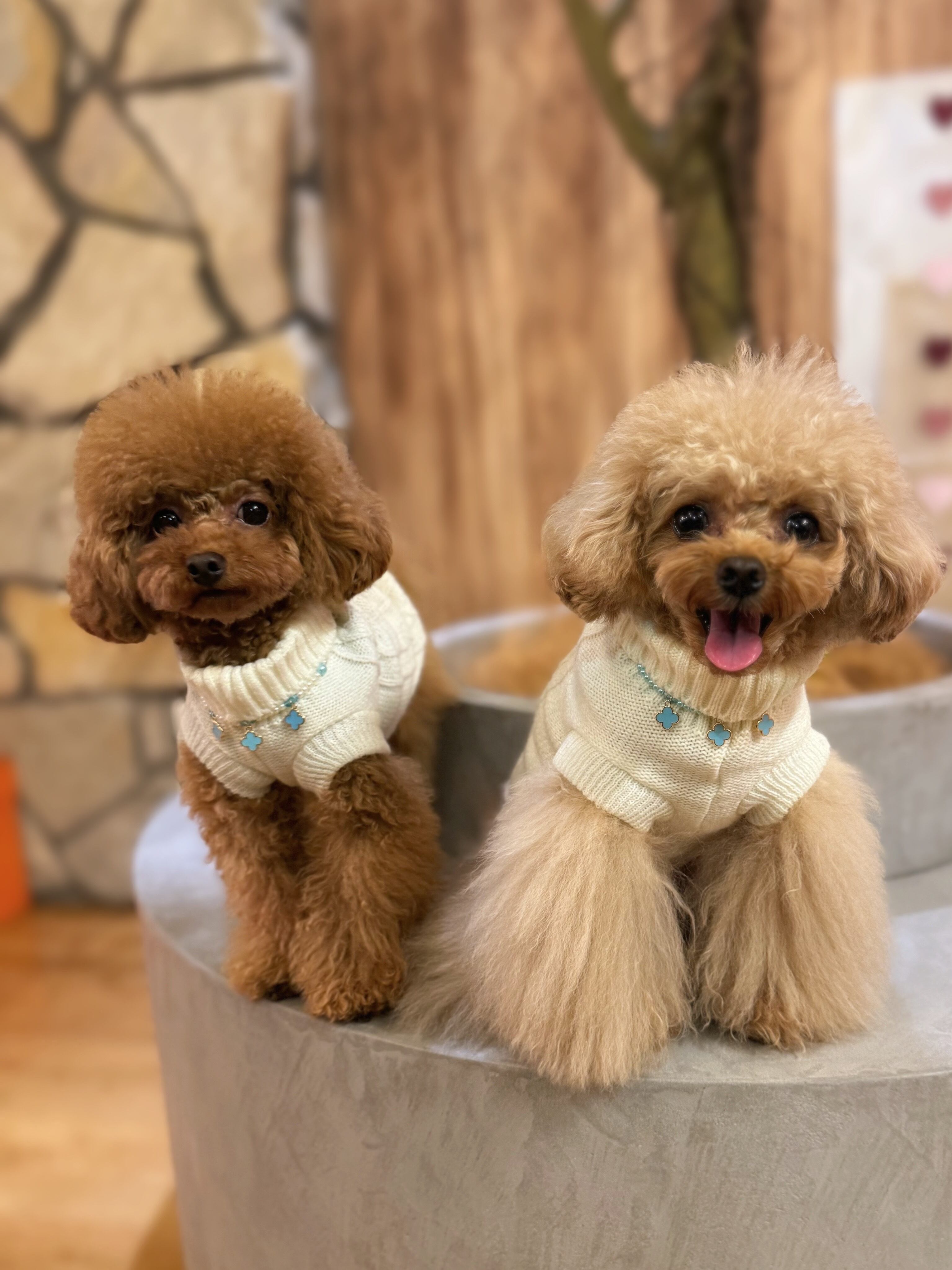 KMK Dogwear 