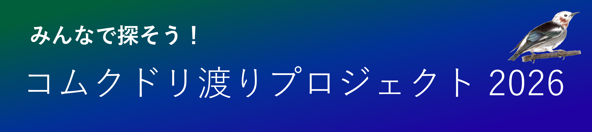 コムクドリ渡りプロジェクト