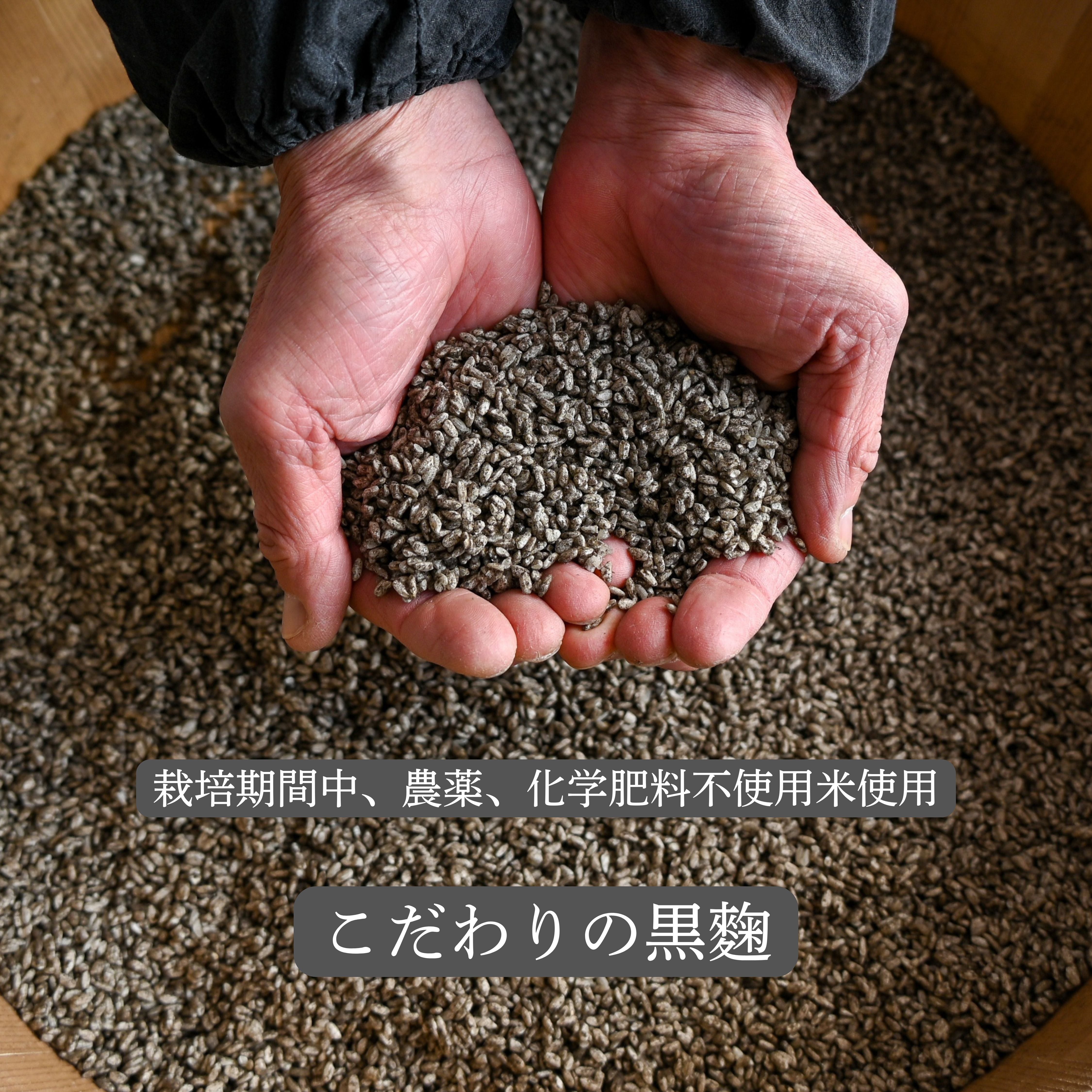 麹家 -koujiya-