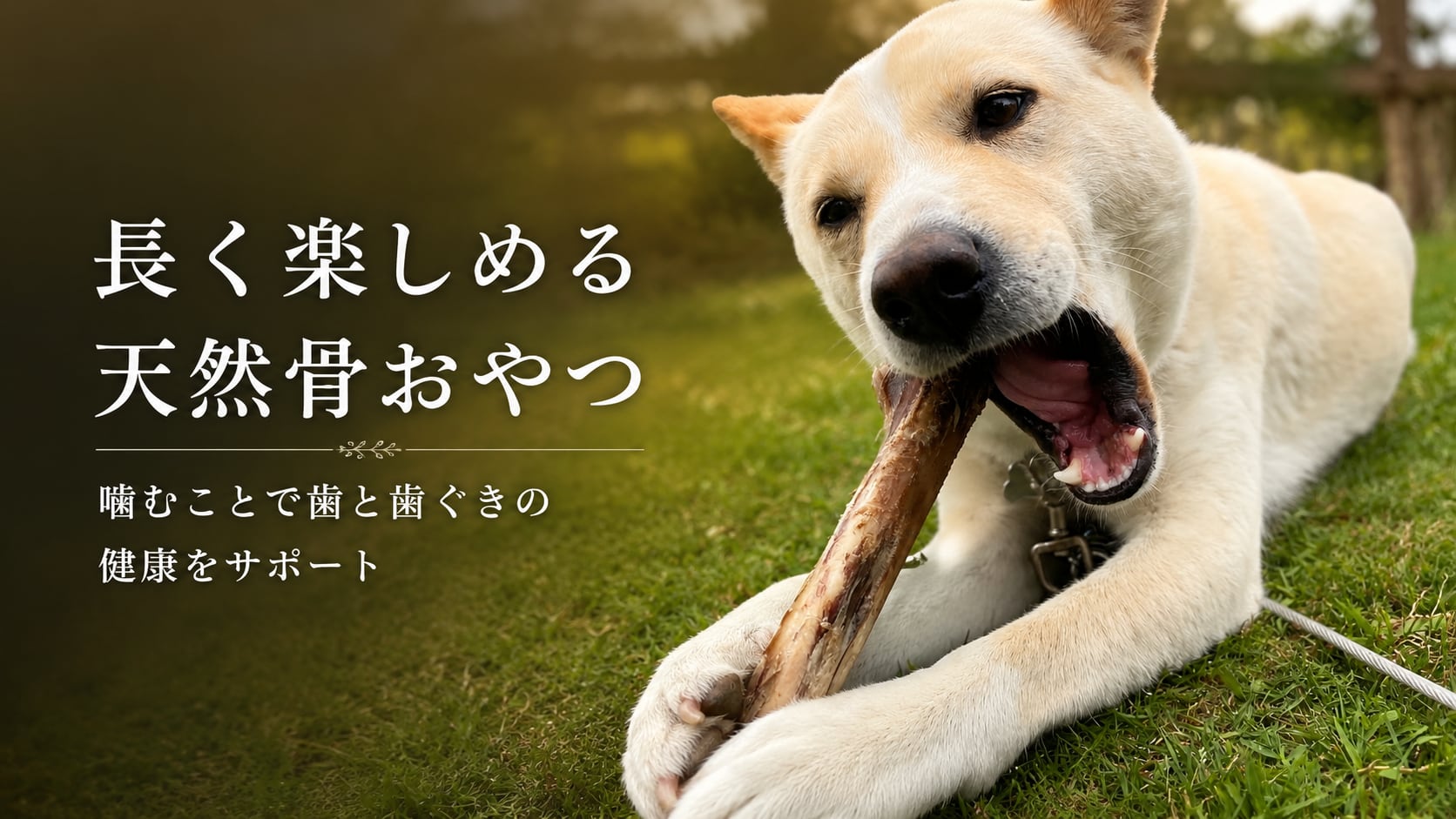 こゆきんちのおやつ | 犬用鹿肉ジャーキー 犬用鹿骨 無添加犬おやつ通販
