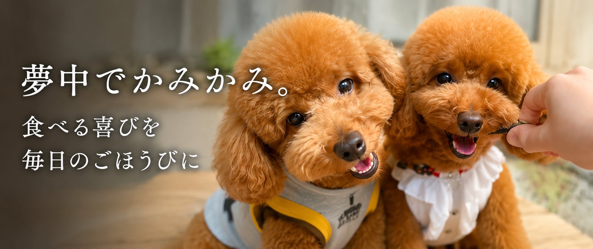 こゆきんちのおやつ | 犬用鹿肉ジャーキー 犬用鹿骨 無添加犬おやつ通販