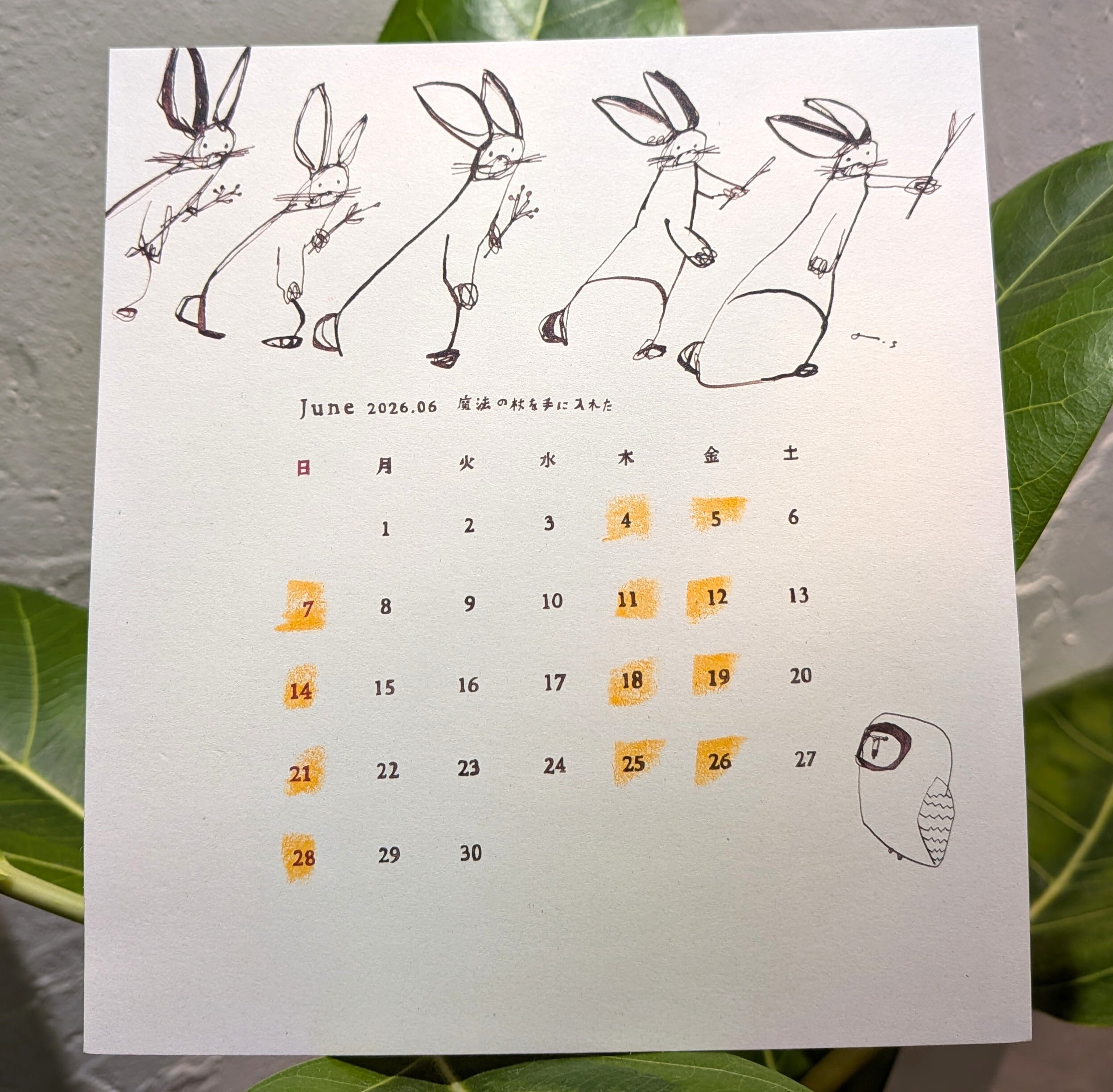 6月｜June