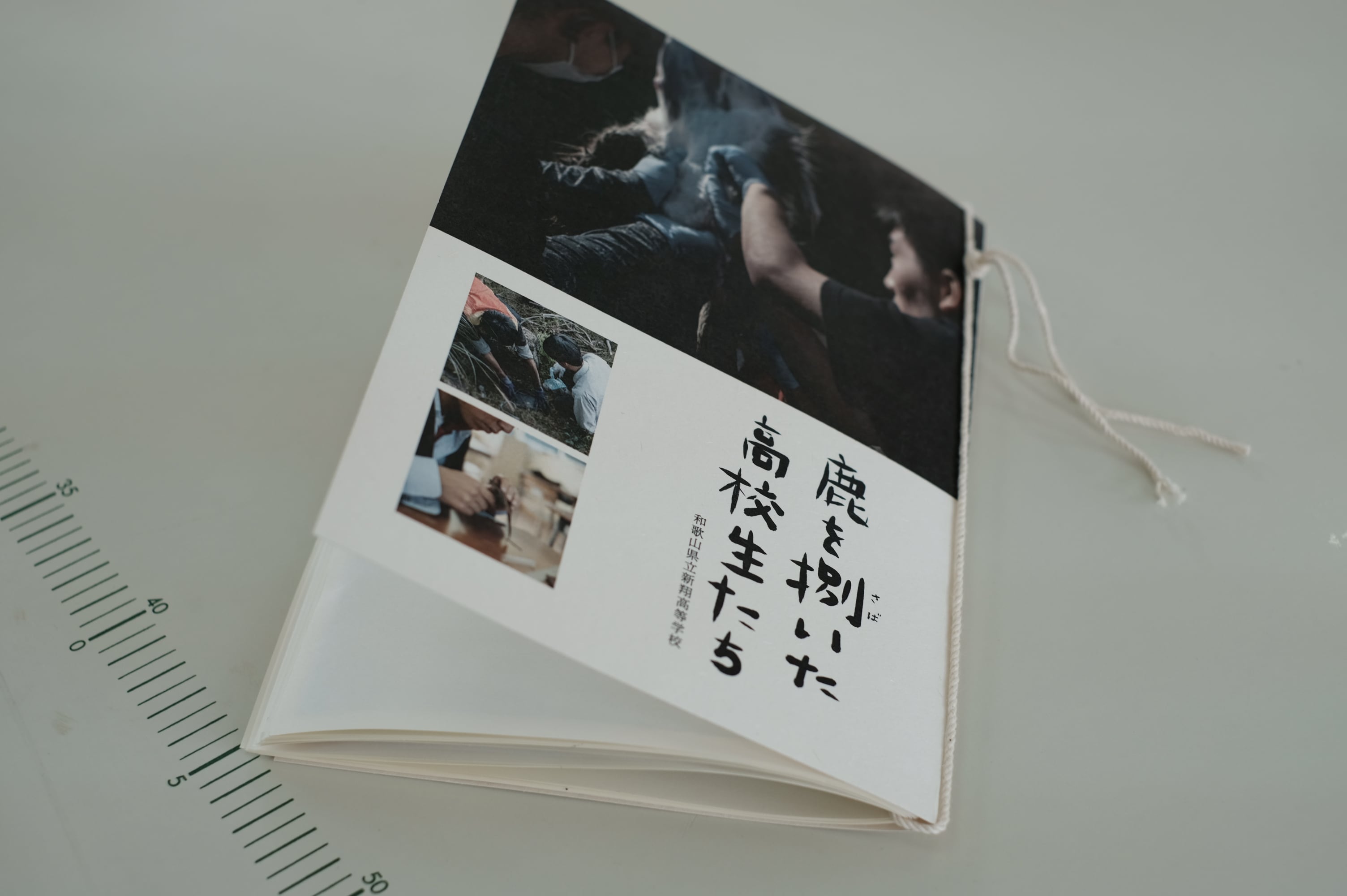 画像2