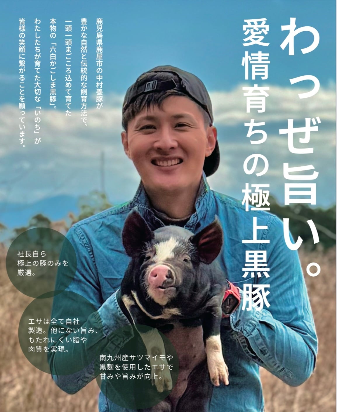 バナー