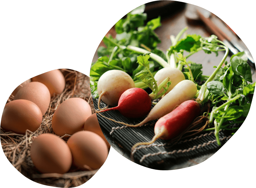 京都ベジタブルキッチン