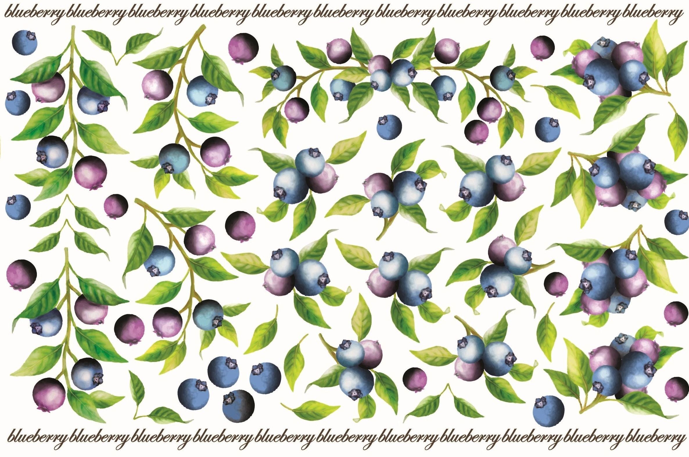Blueberry A5サイズ
