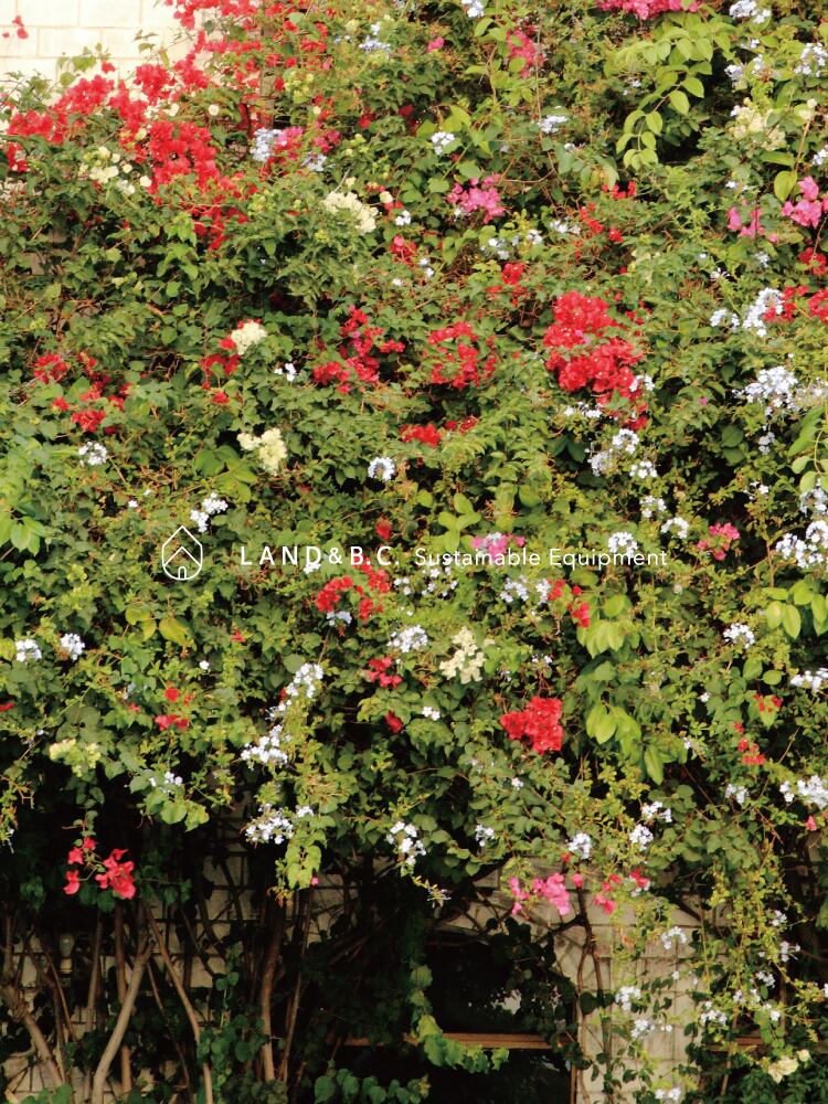 Made in Shiga, Japan