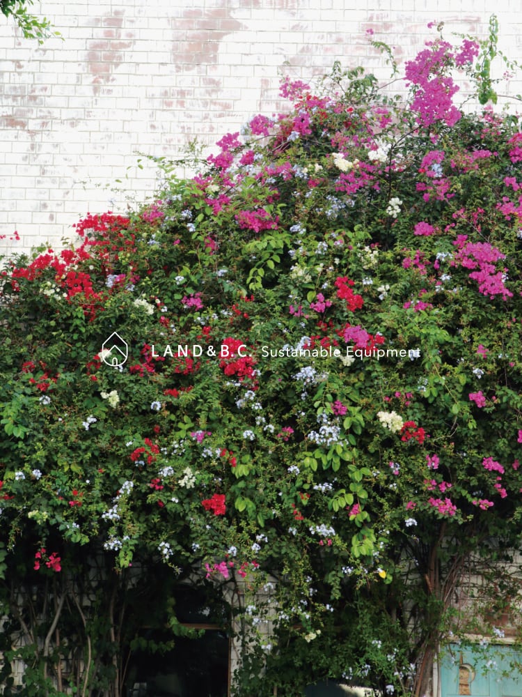 Made in Shiga, Japan