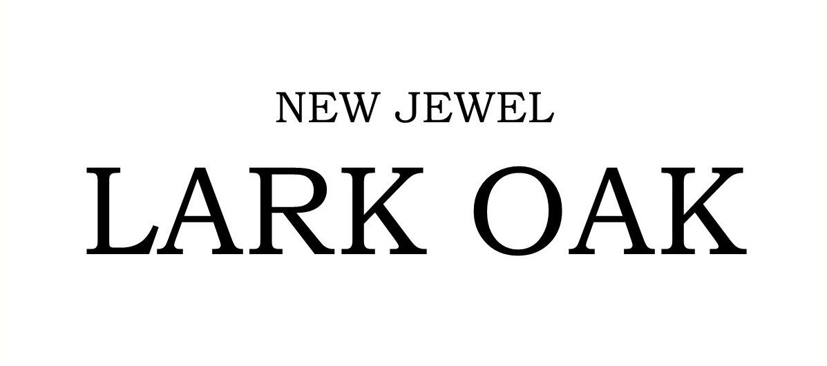 一粒ダイヤモンドネックレス専門店　LARK OAK