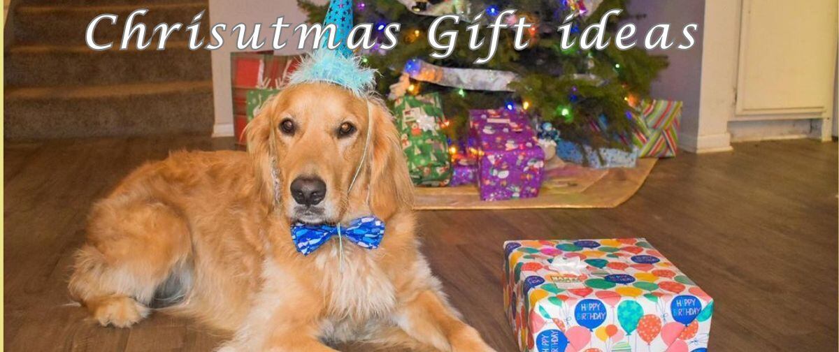 クリスマスリードセット(白クリスマスリース)わんちゃん猫ちゃん用