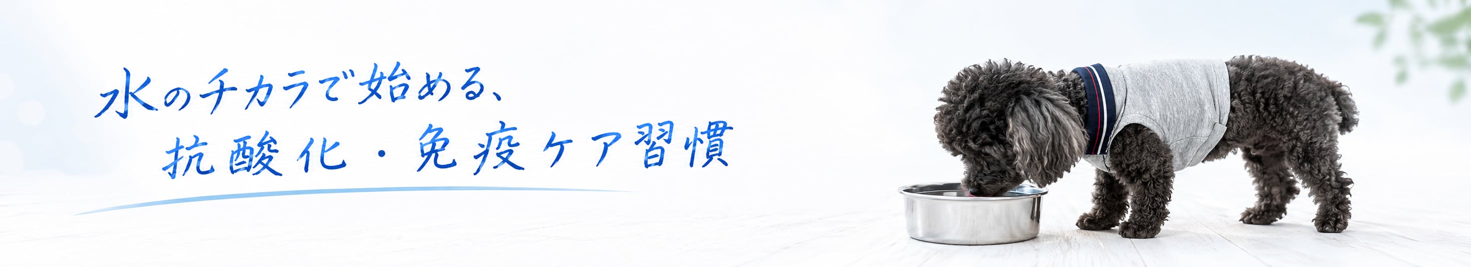 バナー