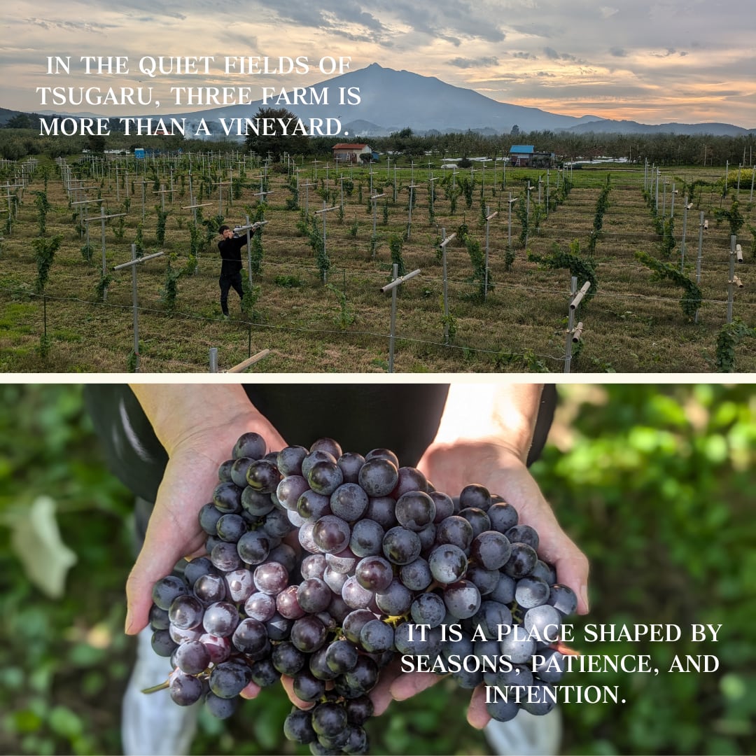 スリーファーム　Pure & Zéro