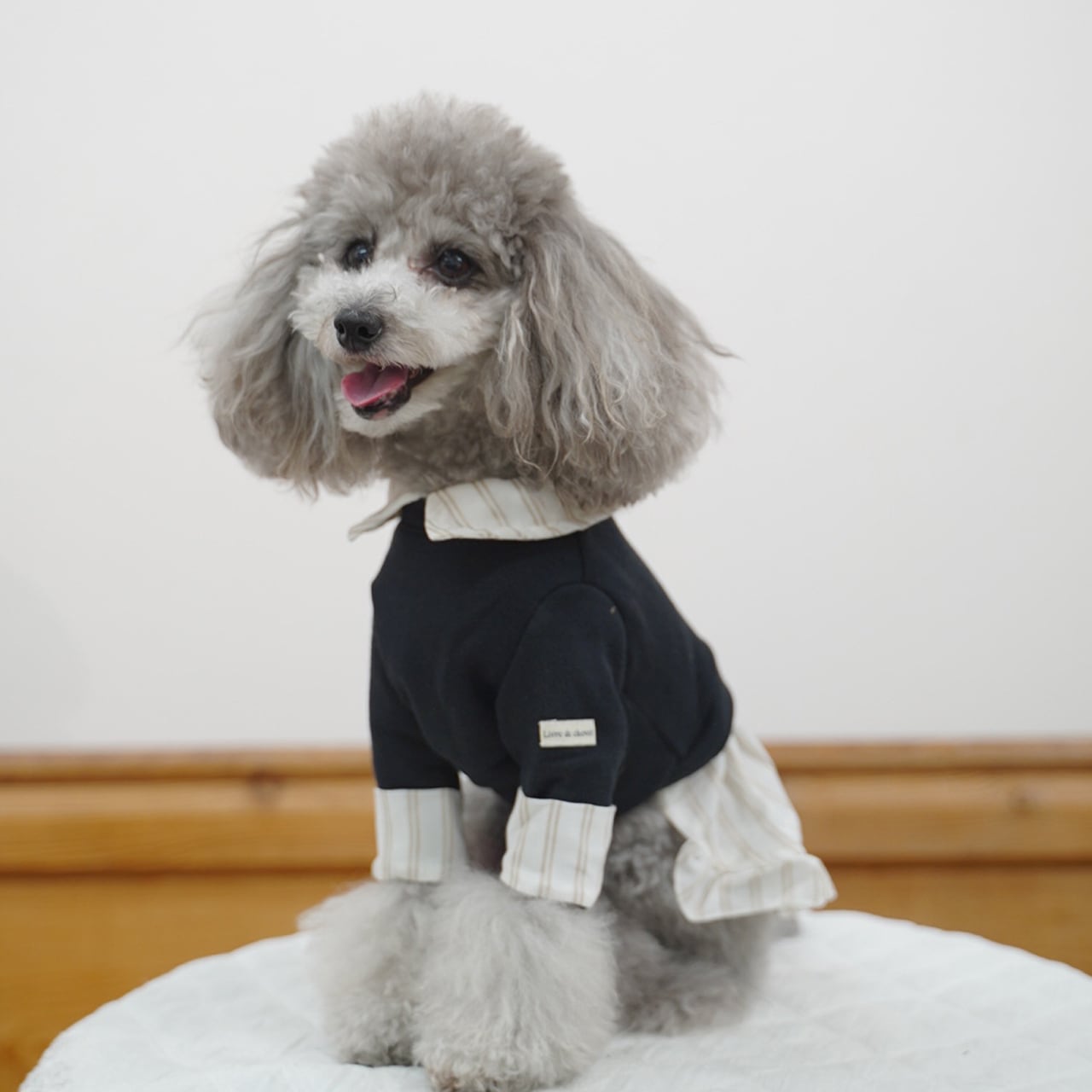 犬服・アクセサリー livre de chevet Livre de chevet