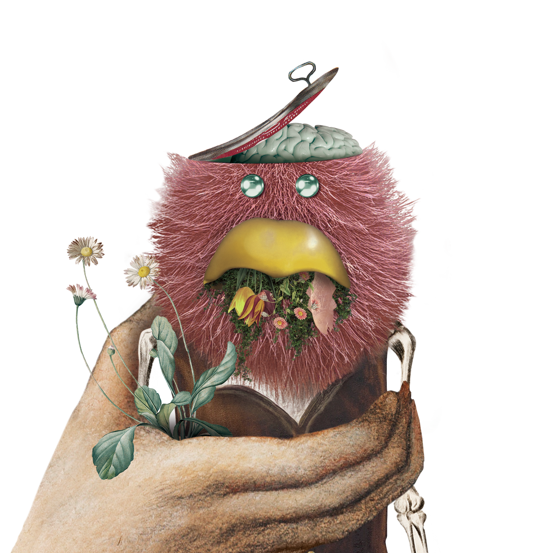 Synelium - シネリウム -