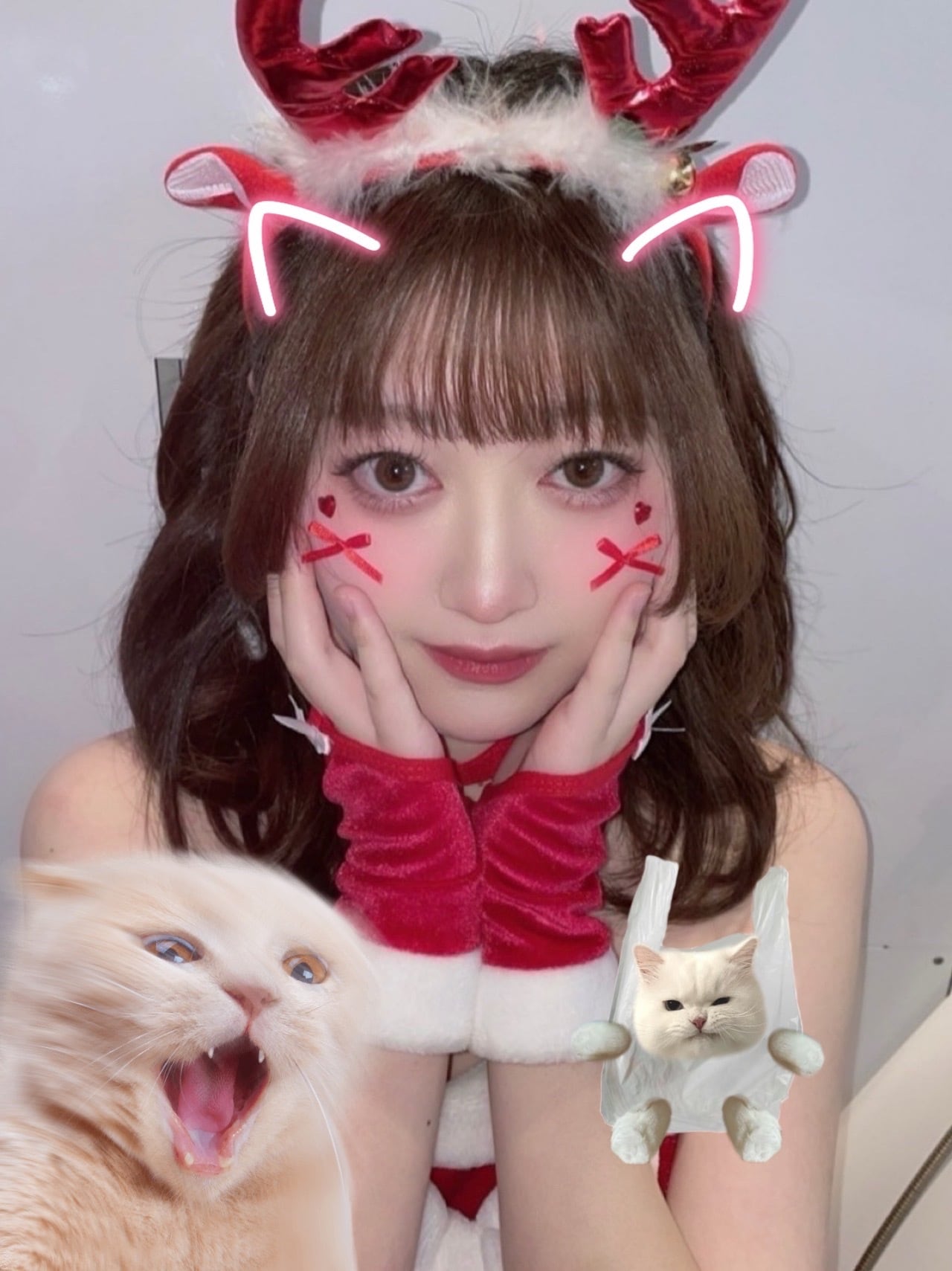 れのちのお店